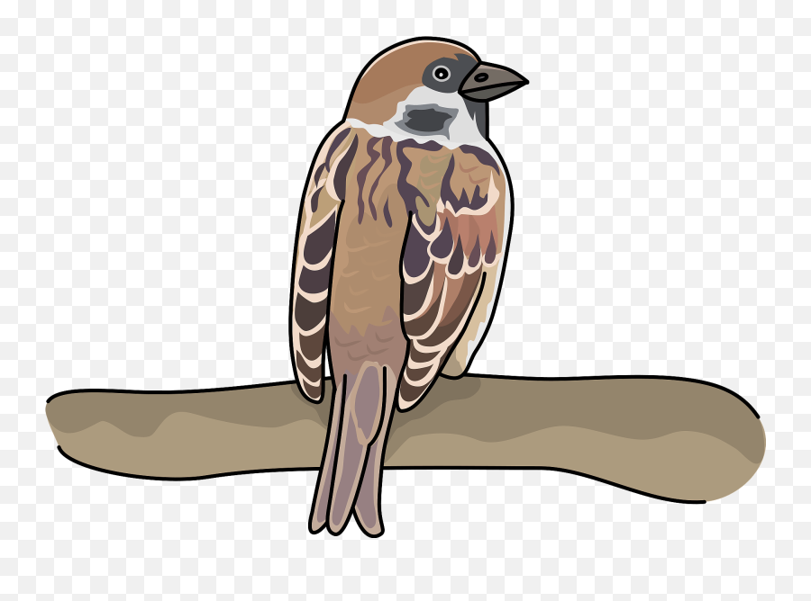 Sparrow Bird Clipart Free Download Transparent Png Creazilla Emoji,Sparrow Clipart