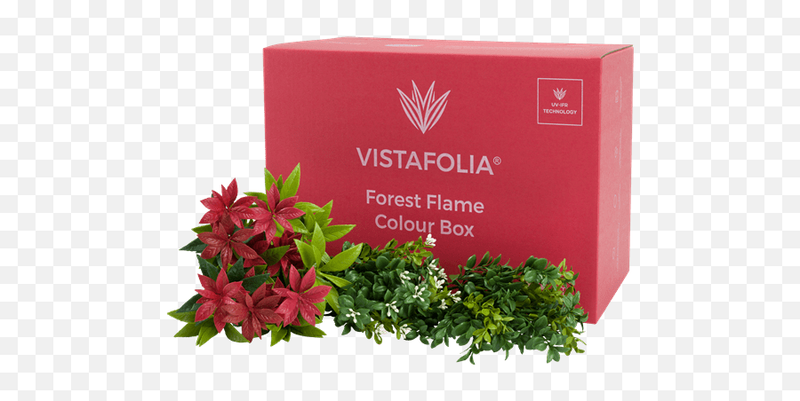 Artificial Forest Plants Forest Flame Colour Box Emoji,Flame Texture Png