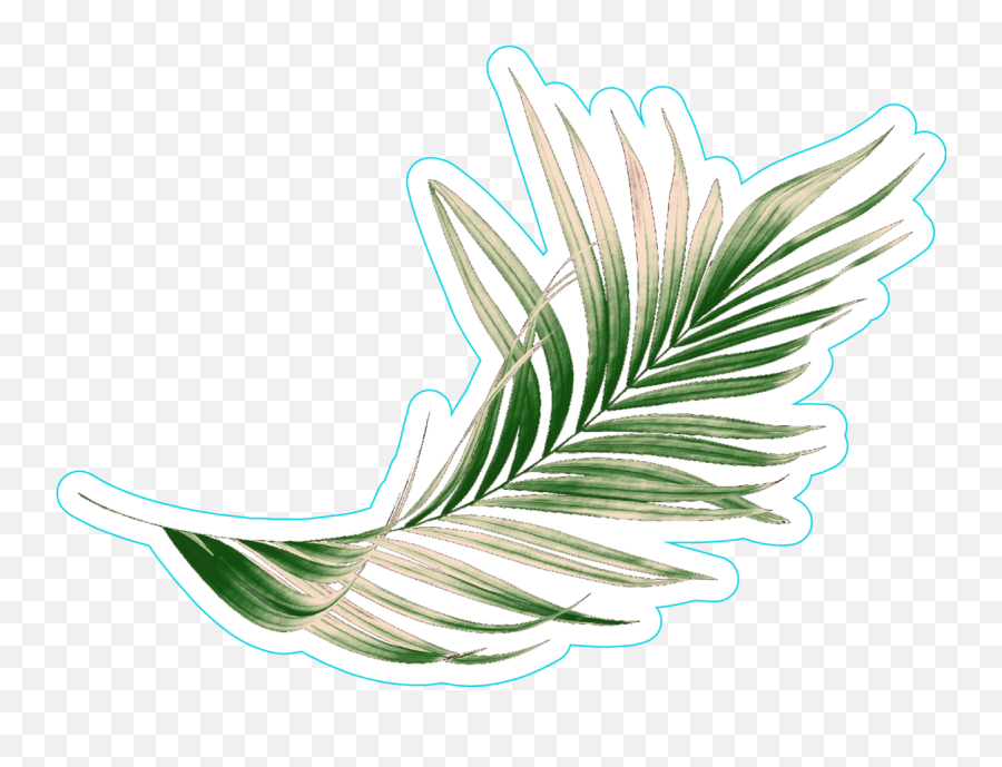 Green Palm Leaf Sticker - Illustration Clipart Full Size Leaves Stickers Png Emoji,Tropical Leaf Clipart