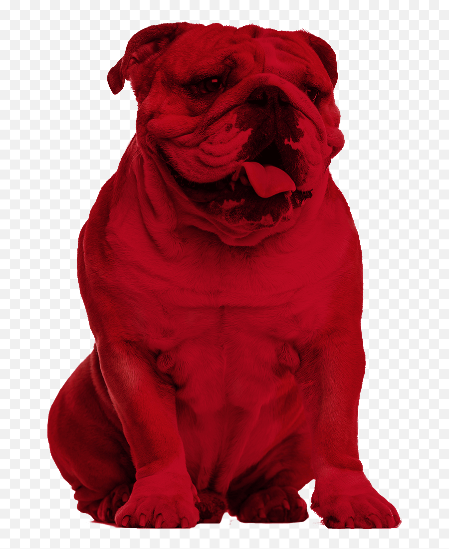 Bulldog Creative Services - Bulldog Red Emoji,Bulldog Png