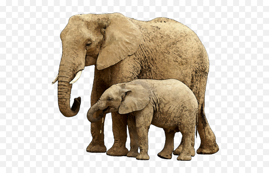 Download Baby Elephant Png Image With - Elephant Baby Elephant Png Emoji,Elephant Png