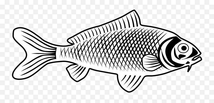 White Drawing Of A Fish Clipart Free Image - Fish Line Art Emoji,Fish Clipart Black And White