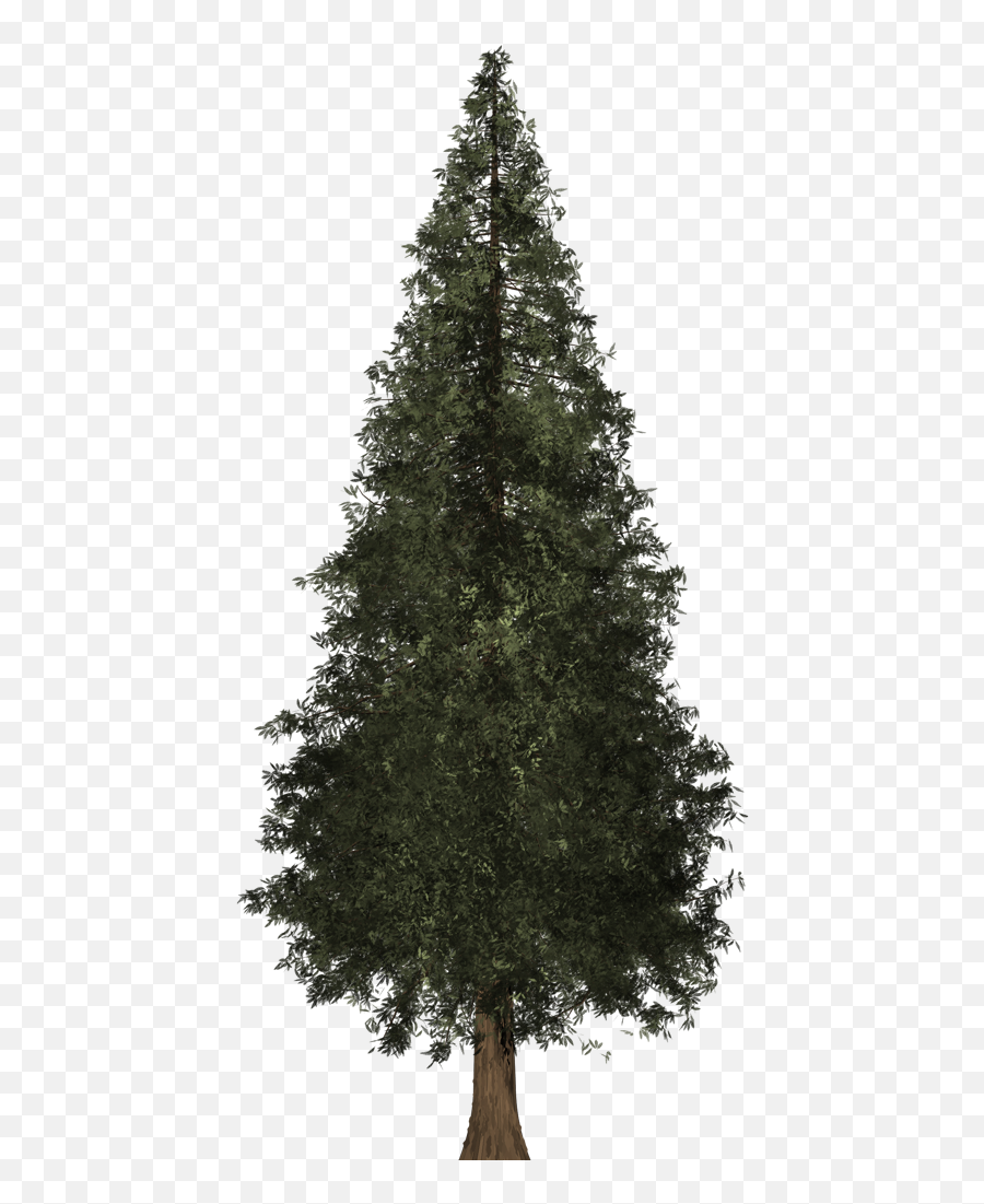 Download Redwood Tree Png Image Freeuse Emoji,Redwood Tree Clipart