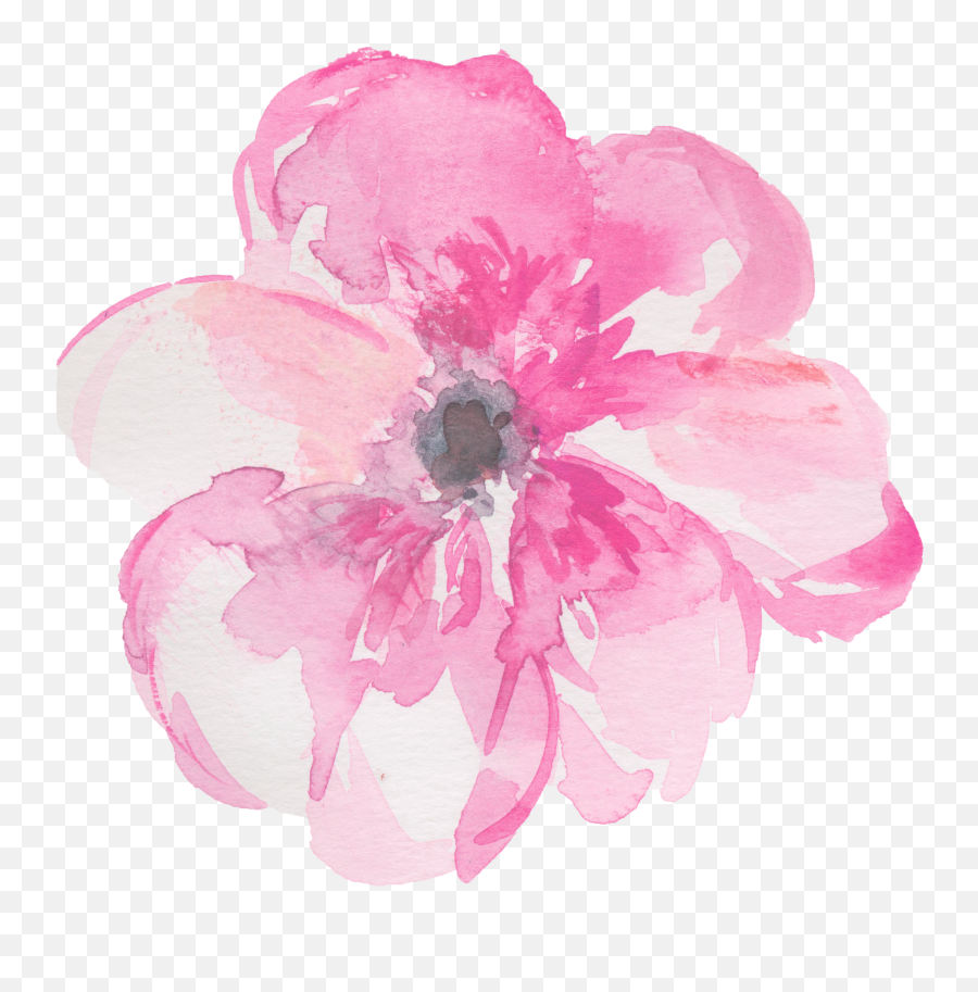 Pink Painted Flower Transparent Hd Png Emoji,Painted Flowers Png