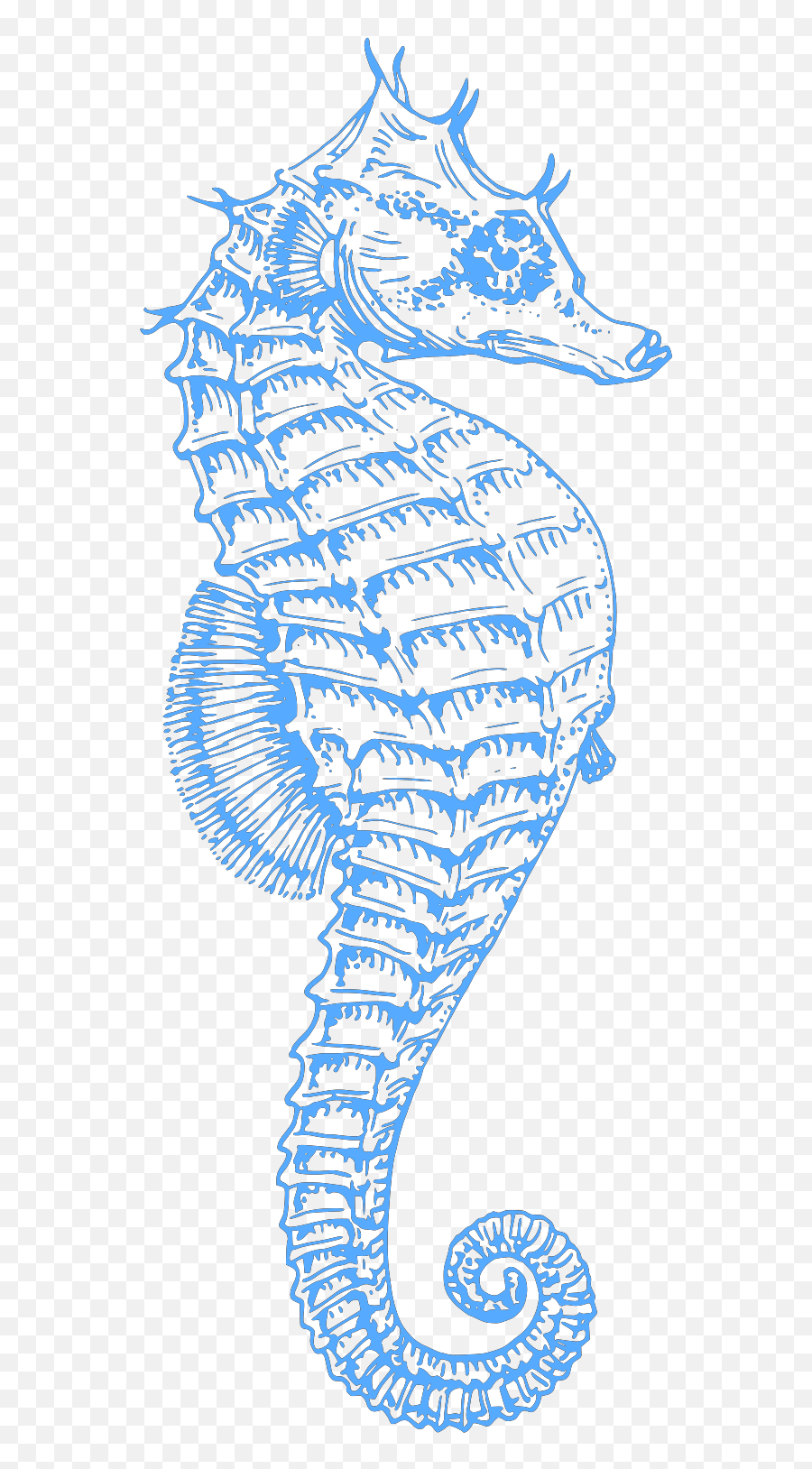Blue Seahorse Svg Vector Blue Seahorse - Seahorse Emoji,Seahorse Clipart