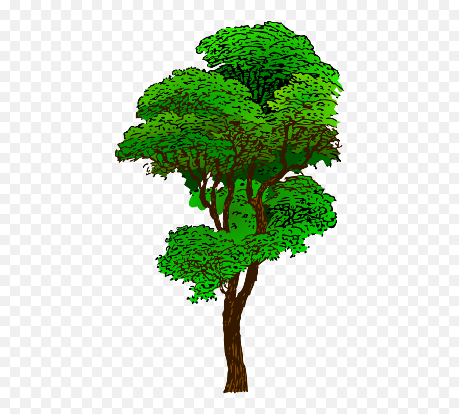 Download Clipart Jungle Tree - Tall Tree Clip Art Full Clipart Rainforest Tree Emoji,Jungle Clipart
