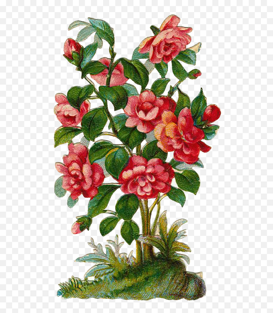 Bush Cliparts - Clip Art Rose Plant Emoji,Bush Clipart
