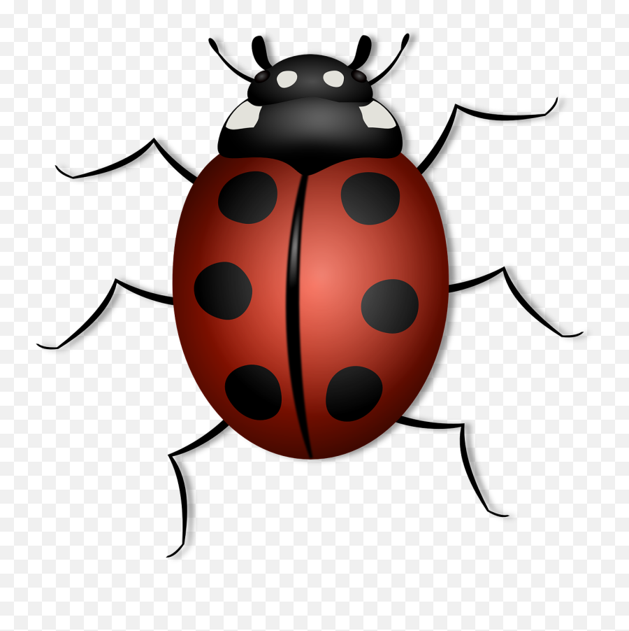Insects Clipart Insect Leg Insects - Ladybird Picture For Kids Emoji,Insects Clipart