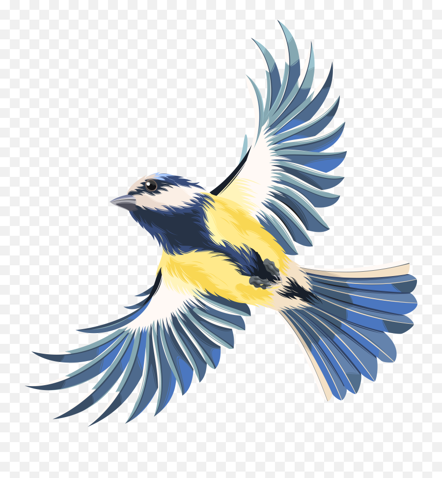 Transparent Png Files Clipart - Transparent Background Flying Bird Clipart Emoji,Birds Flying Png