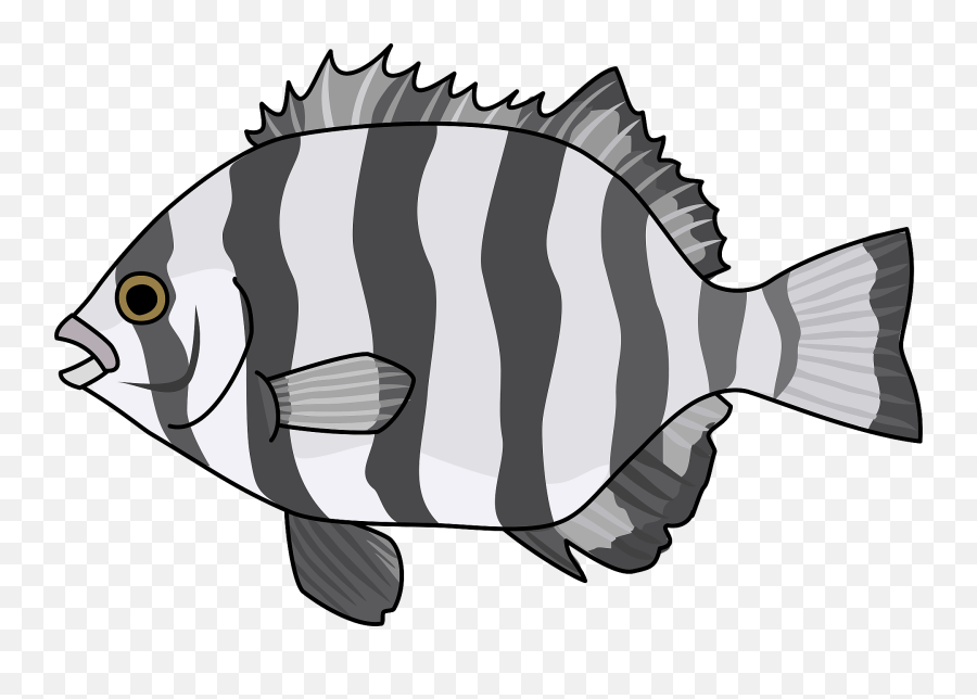 Striped Beakfish Fish Clipart Free Download Transparent Emoji,Transparent Stripes