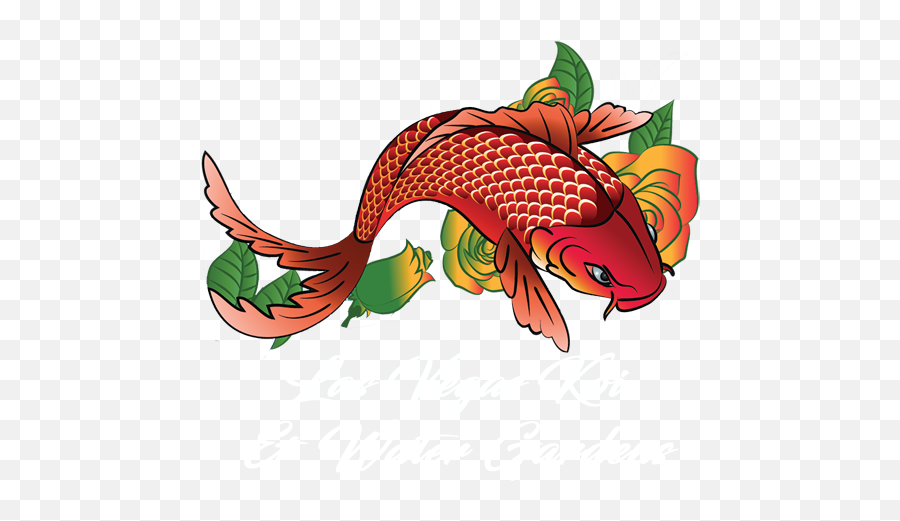Koi Fish - Las Vegas Koi U0026 Water Gardens Emoji,Koi Fish Clipart