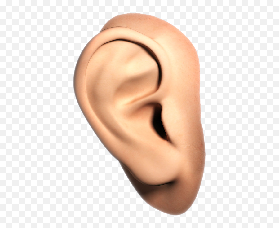 Nose Clipart Human Ear Nose Human Ear Transparent Free For - Ear Png Emoji,Nose Png