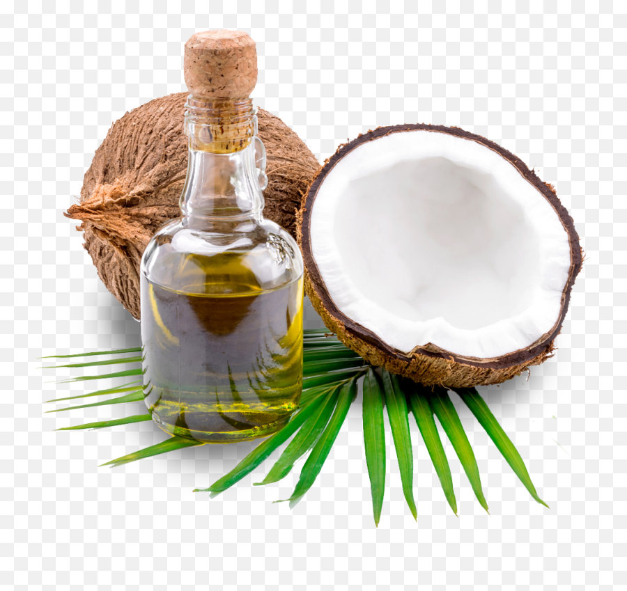 Only Coconuts Emoji,Coconut Png