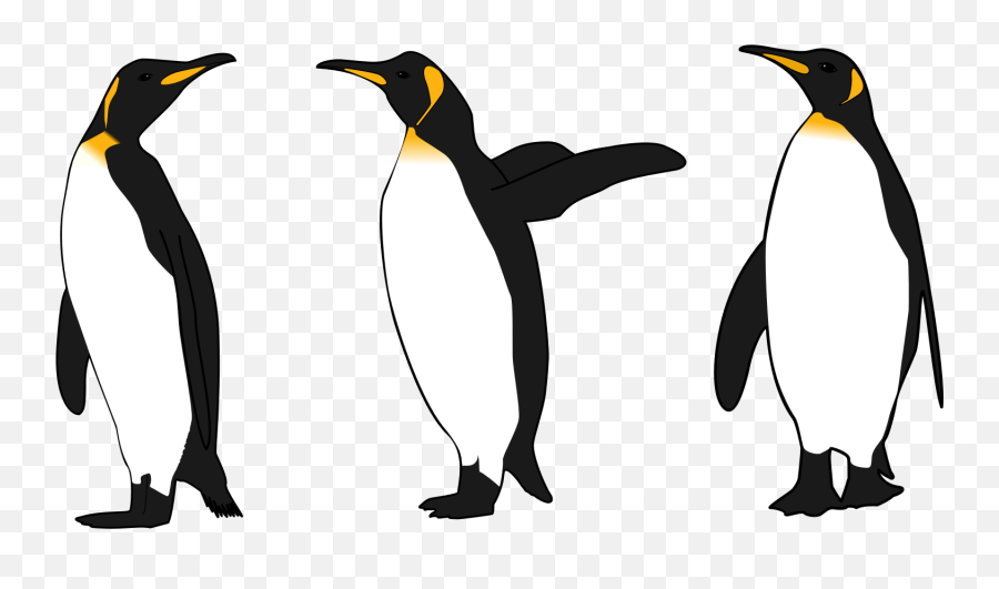 Flightless Birdking Penguinwing Png Clipart - Royalty Free Transparent Background Emperor Penguin Clipart Emoji,Emperor Logos