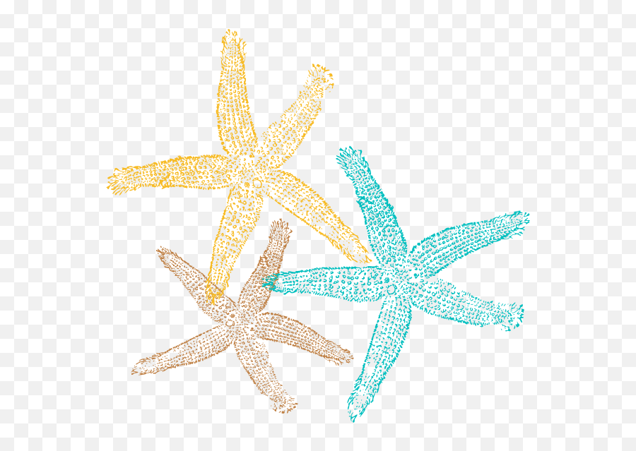 Sea Star Png - Starfish Clipart No Background Transparent Fish Clip Art Emoji,Starfish Clipart