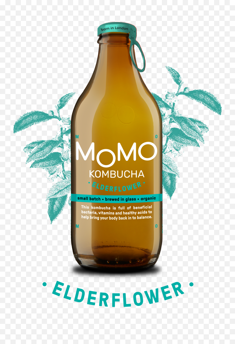 Momo Kombucha - Momo Kombucha Emoji,Momo Png