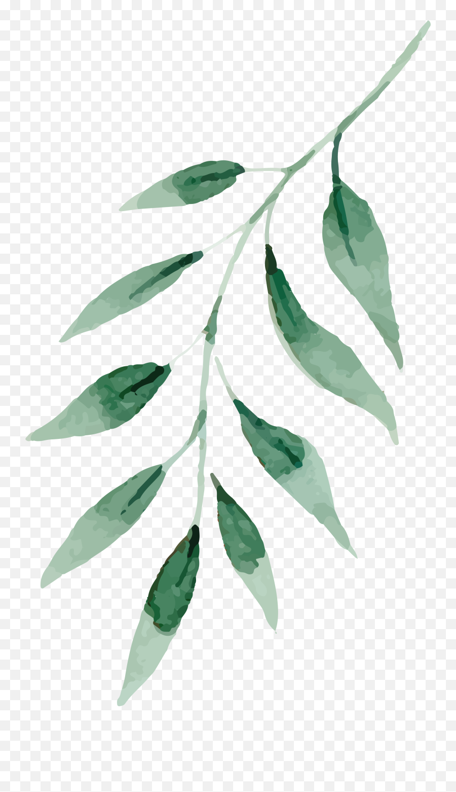 Watercolor Painting Drawing Leaf - Leaves Watercolor Png Green Water Painting Leaves Emoji,Watercolor Png