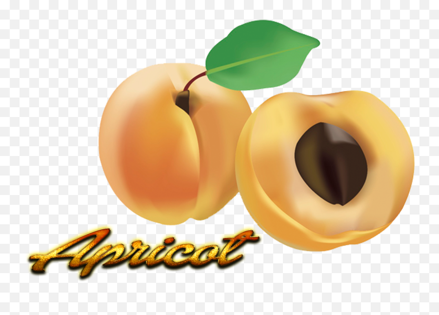Apricot Png - Fruit Clipart Full Size Clipart 3587492 Emoji,Paparazzi Clipart