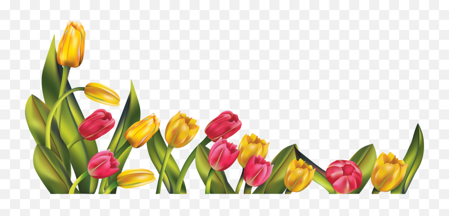 Free Spring Flower Border Clipart - Border Tulips Png Emoji,Flower Border Clipart
