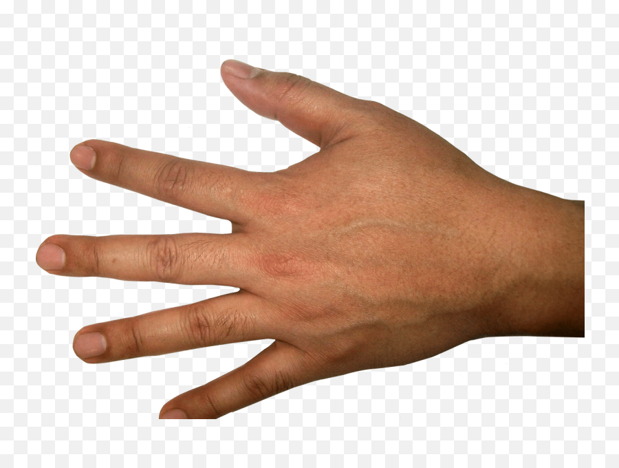 Download Five Finger Hand Png Image - Transparent Background Hand Transparent Png Emoji,Hand Png