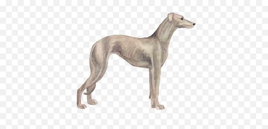 Download Hd Vintage Clip Art Free Image Dogs Greyhound Emoji,Running Dog Clipart