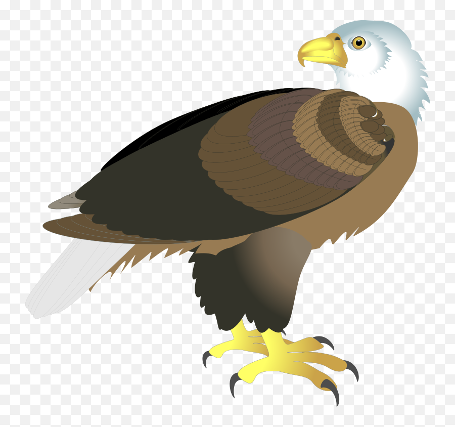 Download Eagle Clipart Side View - Bold Bald Eagle Mug Clip Art Emoji,Bald Eagle Clipart
