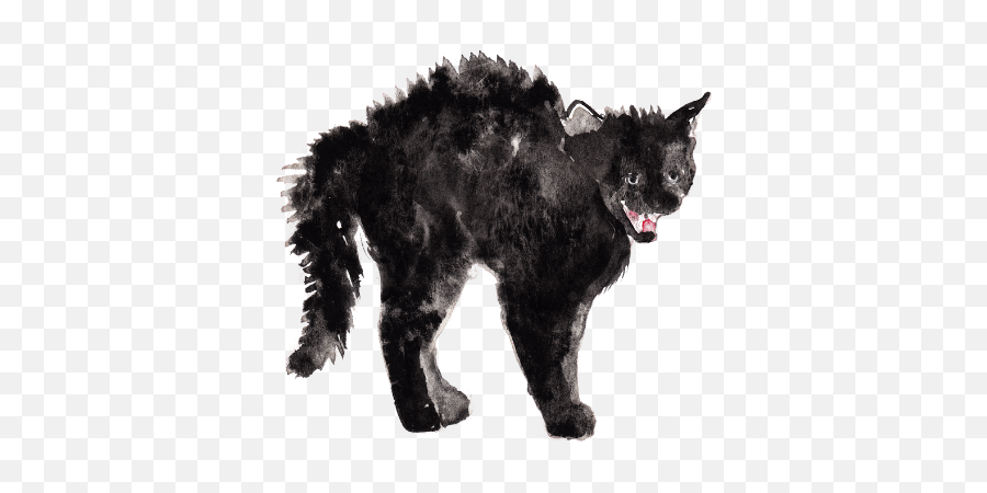 The Black Cat - Dog Emoji,Black Cat Png