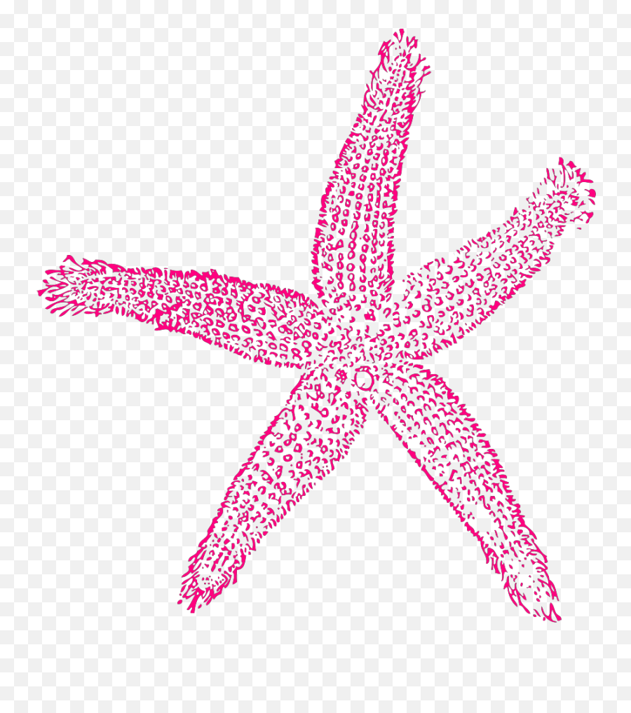 Single Starfish Svg Vector Single Starfish Clip Art - Svg Clipart Fish Clip Art Emoji,Starfish Clipart