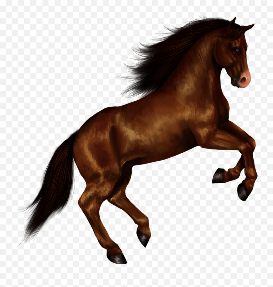 Horse Clip Art Wild Horse - Jumping Horse Png Emoji,Horse Clipart