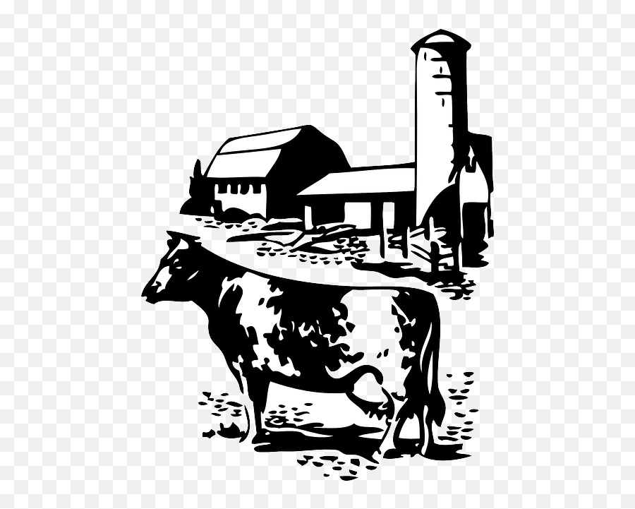Download Barn Farm Cow Dairy Animal Animals Silhouette - Cow Farm Clipart Black And White Emoji,Farm Clipart