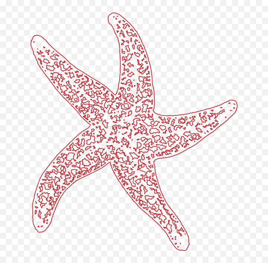 Starfish Clipart Free Download Transparent Png Creazilla - Dot Emoji,Starfish Clipart