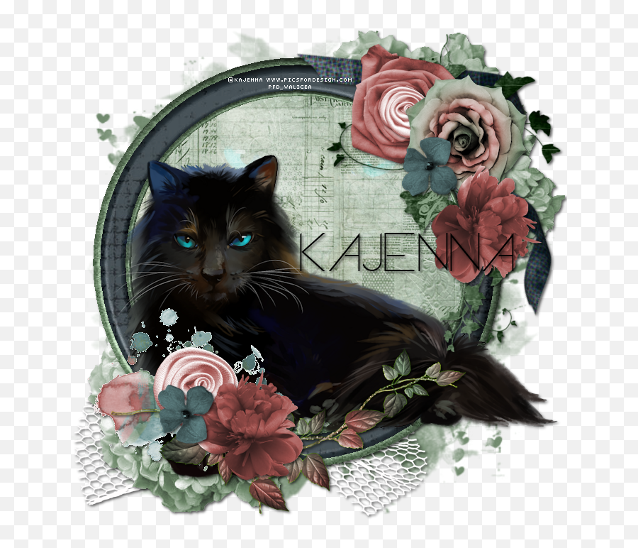 Black Mage - Black Cat Emoji,Black Cat Transparent
