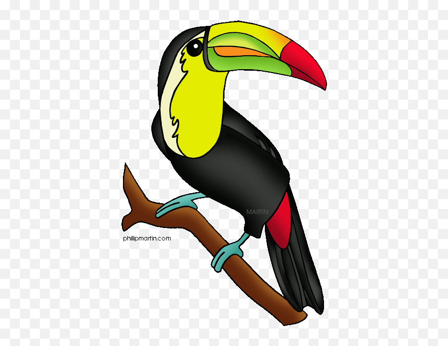 Rainforest Animals Clipart - Transparent Background Rainforest Animals Clipart Emoji,Animals Clipart
