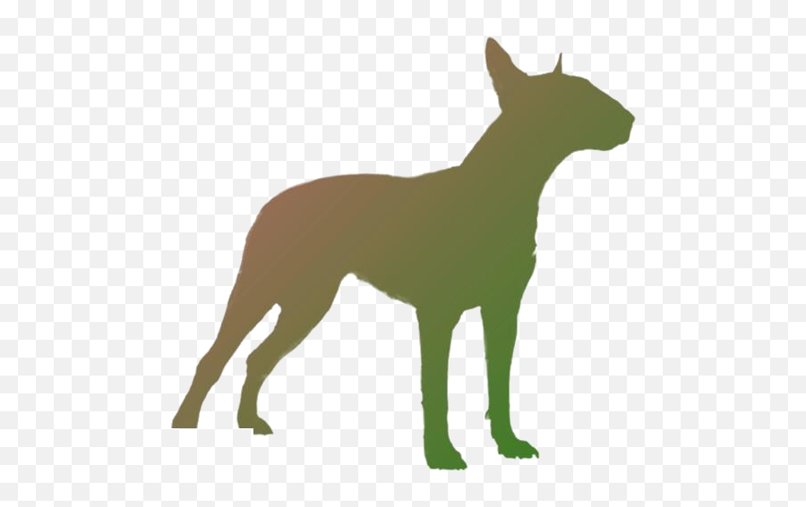 Bull Terrier Dog Breed Png Clipart Download Pngimagespics Emoji,Terrier Clipart