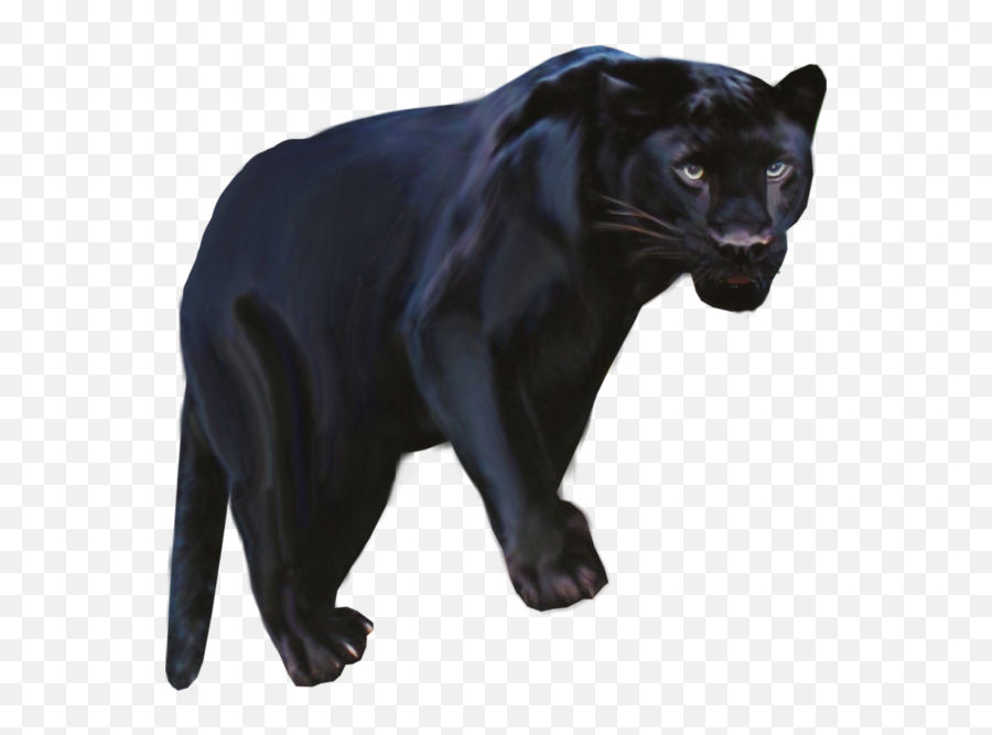 Pantera Animal Png Clipart Black Panther Leopard Jaguar Emoji,Pink Panther Clipart