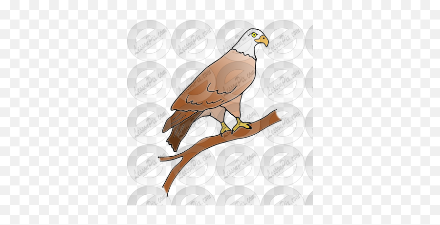 Eagle Picture For Classroom Therapy Use - Great Eagle Clipart Falcon Emoji,Bald Eagle Clipart
