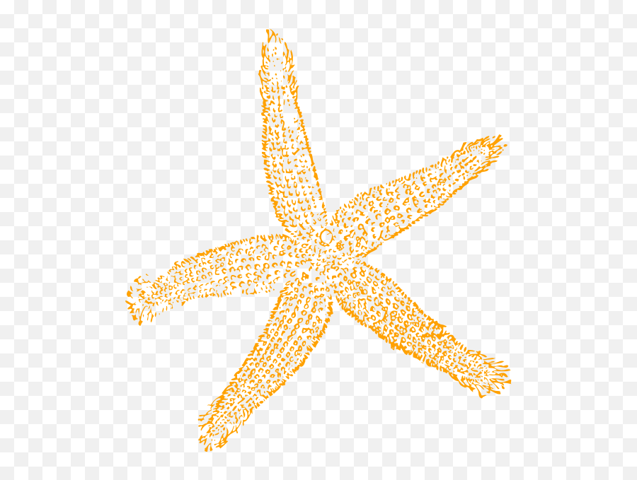 Free Starfish Cliparts Download Free Clip Art Free Clip - Fish Clip Art Emoji,Starfish Clipart