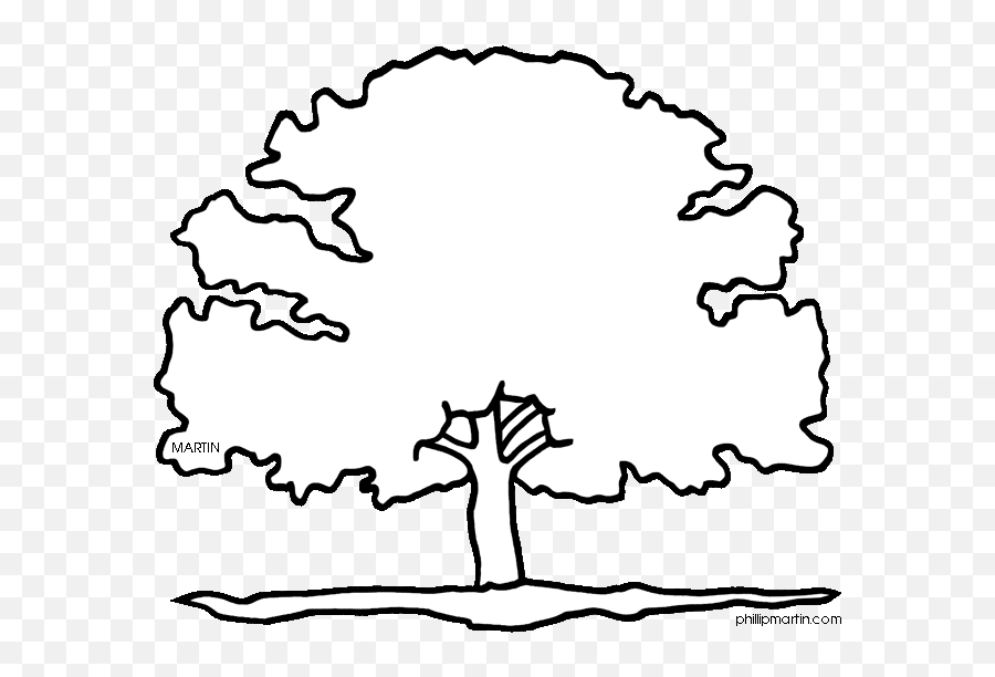 Oak Tree Coloring Pages Free - Texas State Tree To Draw Emoji,Oak Tree Clipart