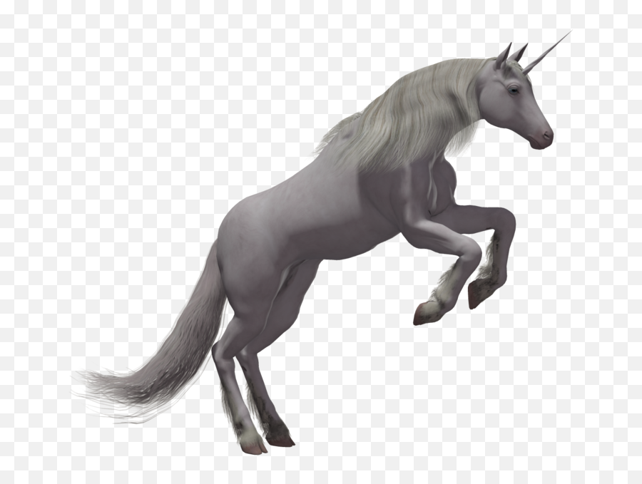 Download Unicorn Png Image For Free - Real Unicorn Png Emoji,Unicorn Transparent Background