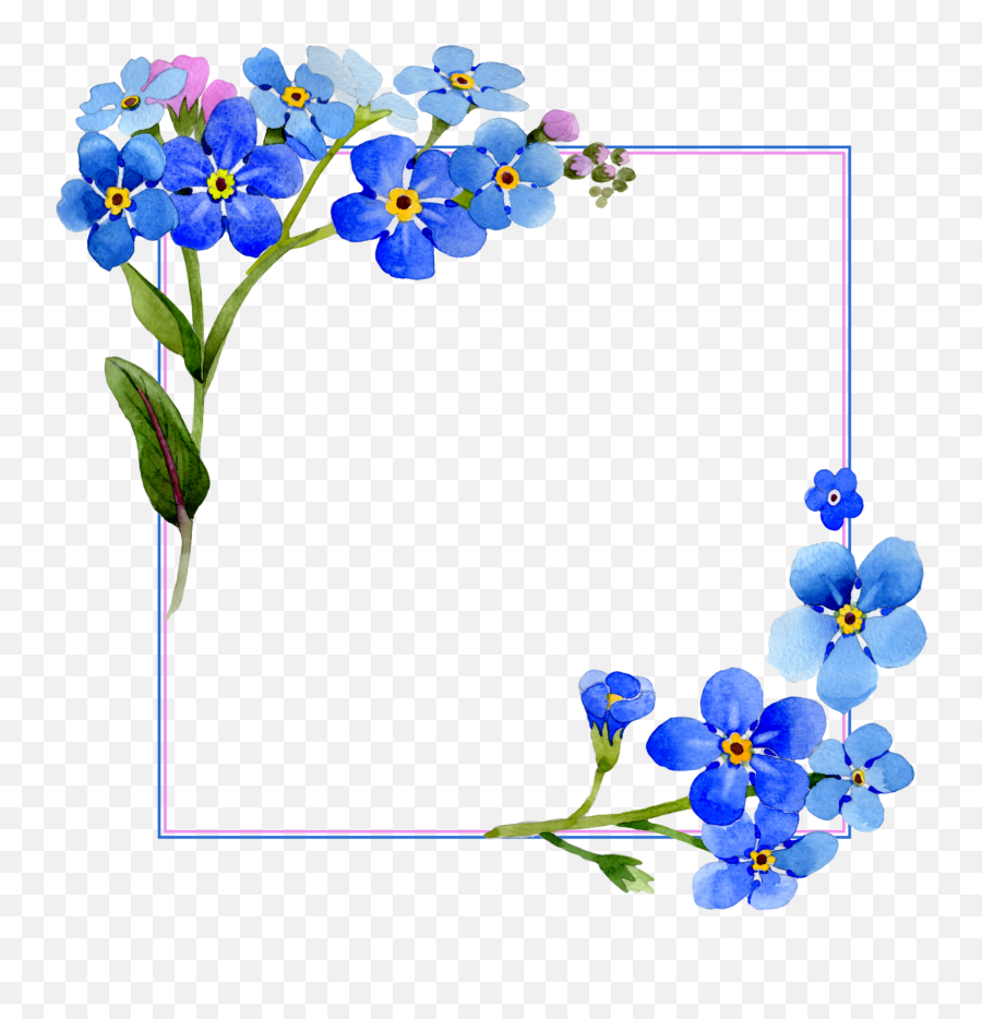Flower Frame Png Transparent Images - Flower Frame Png Emoji,Frame Png