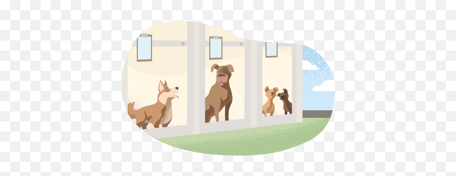 Pet Boarding And Dog Day Care Business Insurance Insureon Emoji,Dog Sitting Png