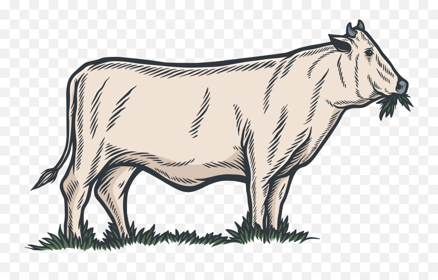 Farms U2013 Livestockinvest Emoji,Vintage Farm Logo