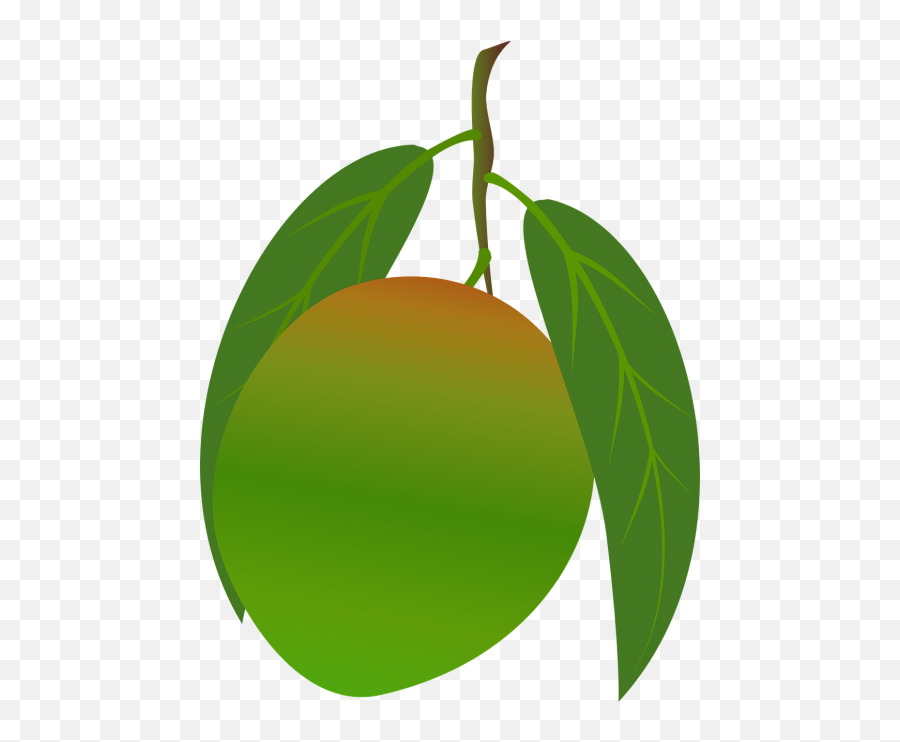 Mango Public Domain Image Search - Freeimg Emoji,Fruit Stand Clipart