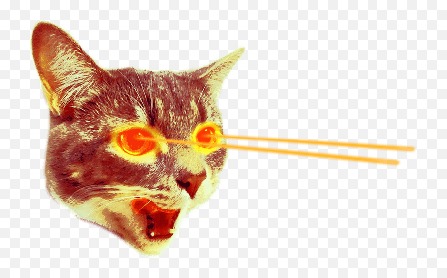 Laser Eyes - Cat With Lasers Png Transparent Png Original Cat Laser Eyes Png Emoji,Laser Png