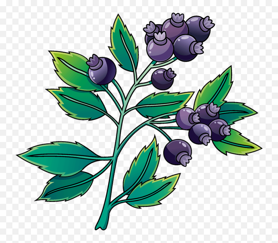 Blueberry Clipart Free Download Transparent Png Creazilla - Blueberry Plant Clipart Free Emoji,Blueberry Clipart