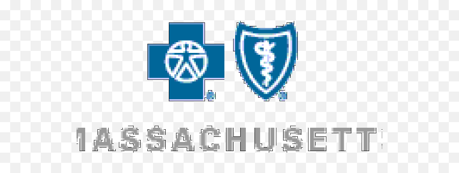 Blue Cross Blue Shield Of Massachusetts Maximizes Volunteer - Language Emoji,Blue Cross Blue Shield Logo