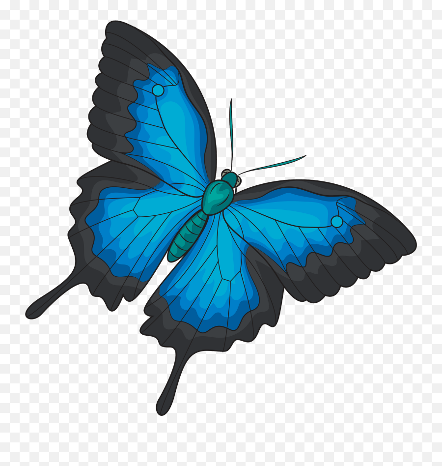 Ulysses Butterfly Clipart Free Download Transparent Png - Ulysses Butterfly Png Emoji,Butterfly Clipart