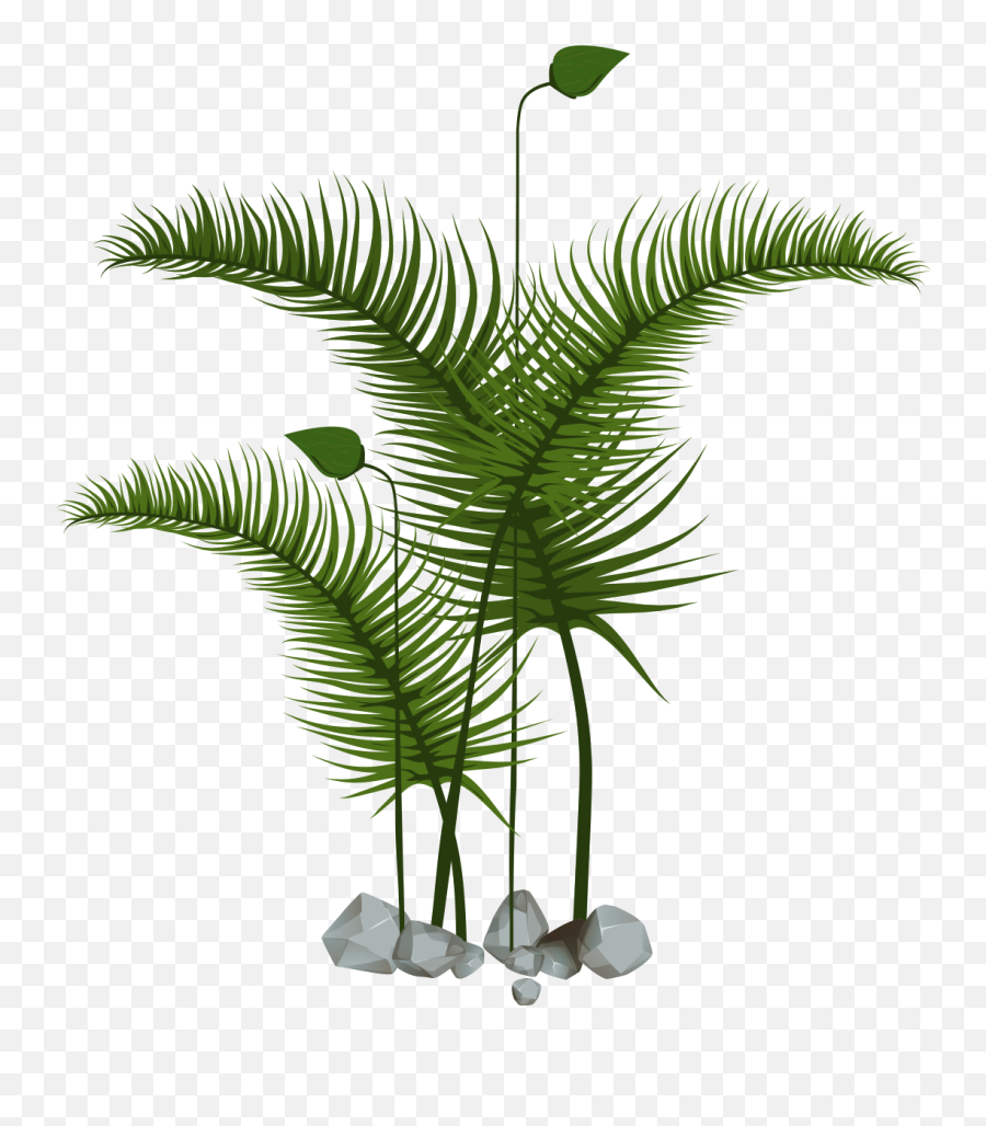 Tree Illustration Plant Vector - Trees And Plants Vector Emoji,Greenery Png