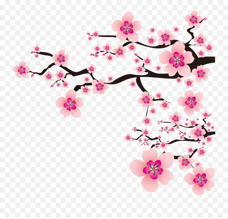 Download Sakura Png - Cherry Blossom Vector Transparent Emoji,Cherry Blossom Flower Png