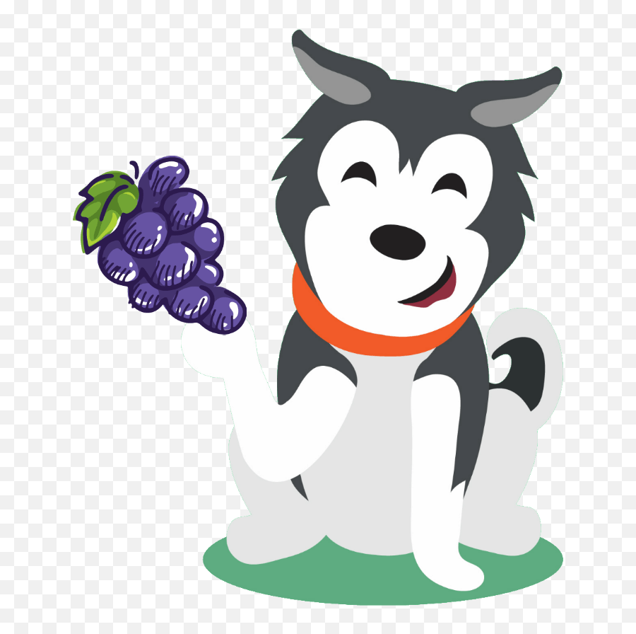 Can Huskies Eat Grapes Or Will It Kill Them Dog Breeds Emoji,Raisin Clipart